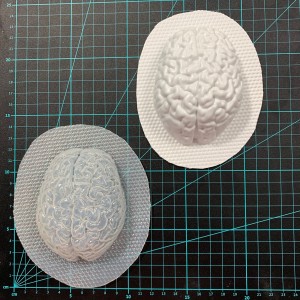 Brain Bath Bomb Mould